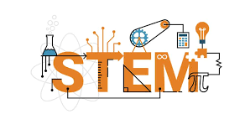  stem