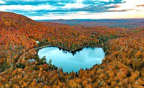  Fall