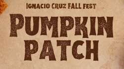  pumpkin patch