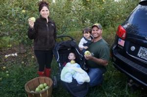 Pennsylvania Apple Picking 