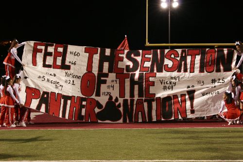 Panther Nation 