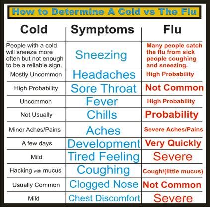 Is it a Cold or the FLU? 