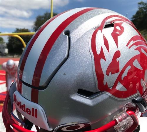 Helmet pic 