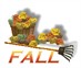 Fall 
