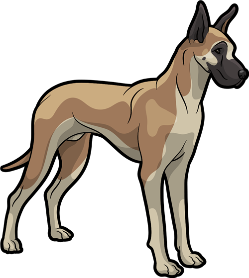 Great Danes / Great Staff