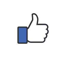 Facebook Like Icon 