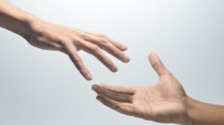 TRUST - CONFIANZA TRUST - CONFIANZA