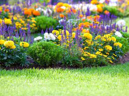Garden Study